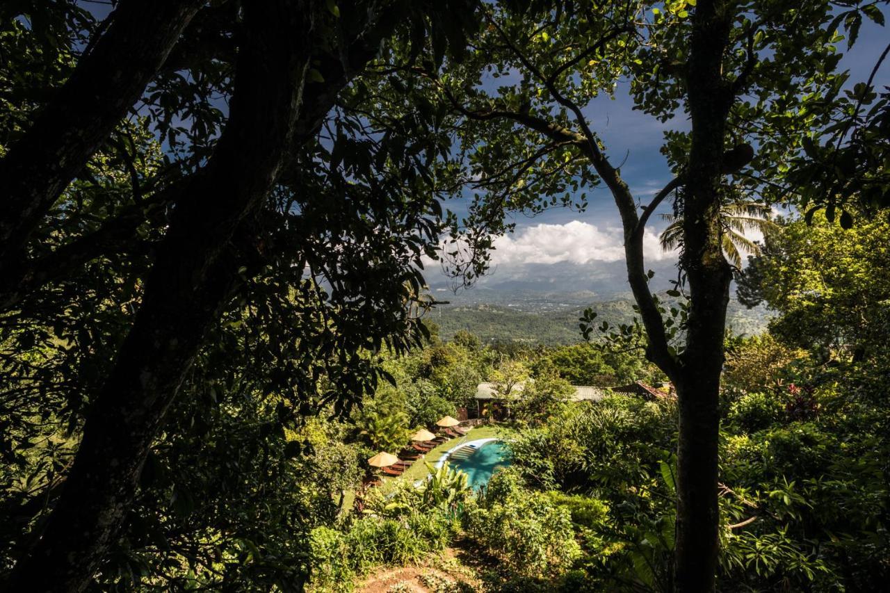 Yasmin Hill Longevity Oasis - Former Galavilla Boutique Hotel & Spa Kandy Zewnętrze zdjęcie